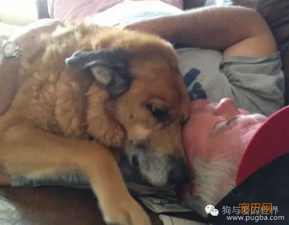 15岁爱犬离世，它留给主人的礼物竟然是这个-2.jpeg