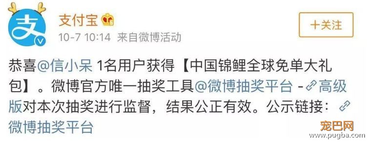 转发锦鲤做做白日梦，一不小心我也中了？！-3.jpeg