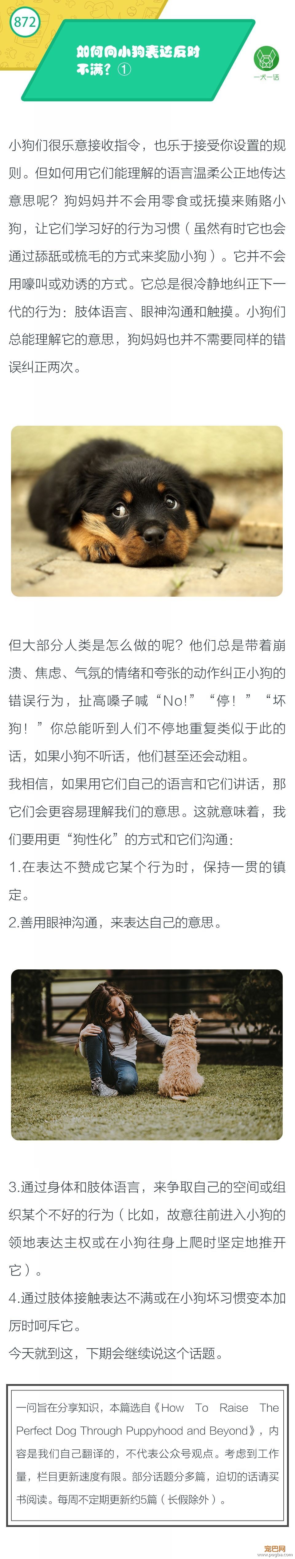 如何向小狗表达反对不满？①-1.jpeg