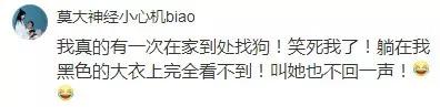 视力不好的人千万别养纯色的狗，否则……-2.jpg