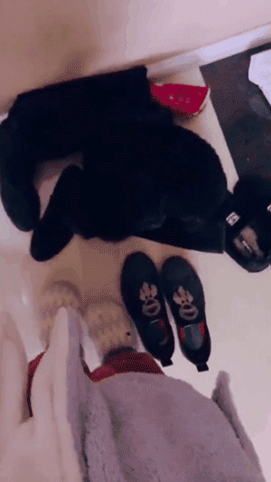 视力不好的人千万别养纯色的狗，否则……-3.gif