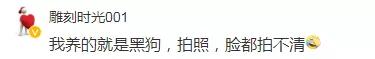 视力不好的人千万别养纯色的狗，否则……-6.jpg
