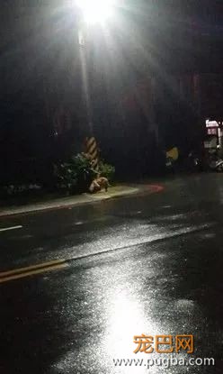 狗来富？网友喂完流浪狗去买刮刮乐中了八千...-3.jpeg