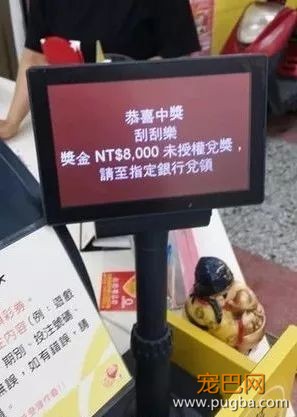 狗来富？网友喂完流浪狗去买刮刮乐中了八千...-2.jpeg