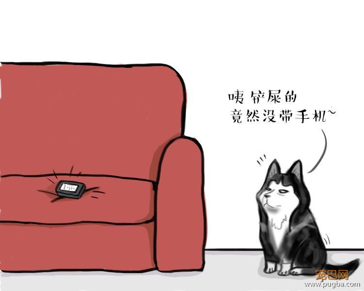 二哈哭诉：我主人......可能根本不爱我？-2.jpeg