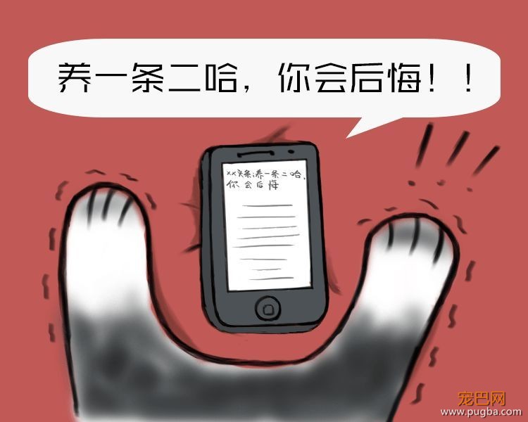 二哈哭诉：我主人......可能根本不爱我？-3.jpeg