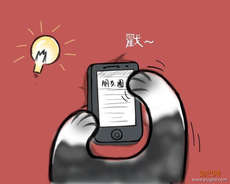 二哈哭诉：我主人......可能根本不爱我？-5.jpeg