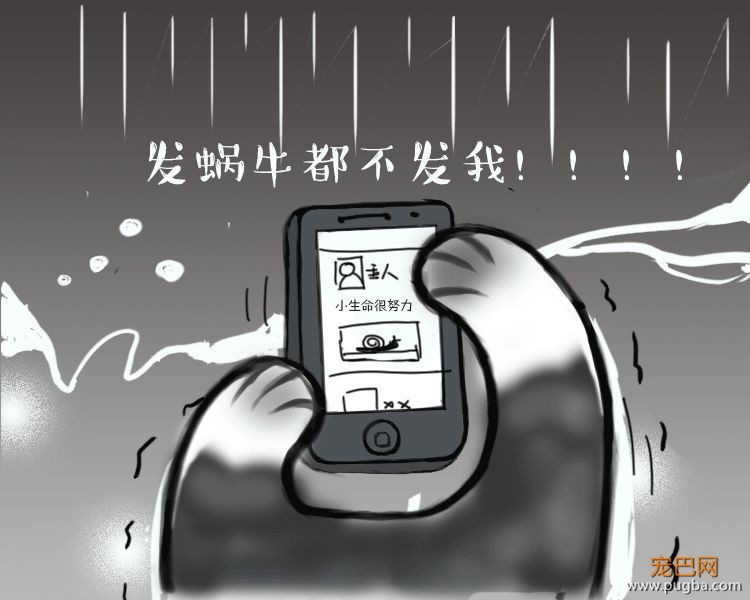 二哈哭诉：我主人......可能根本不爱我？-8.jpeg