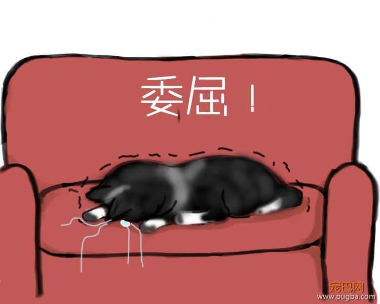 二哈哭诉：我主人......可能根本不爱我？-9.jpeg