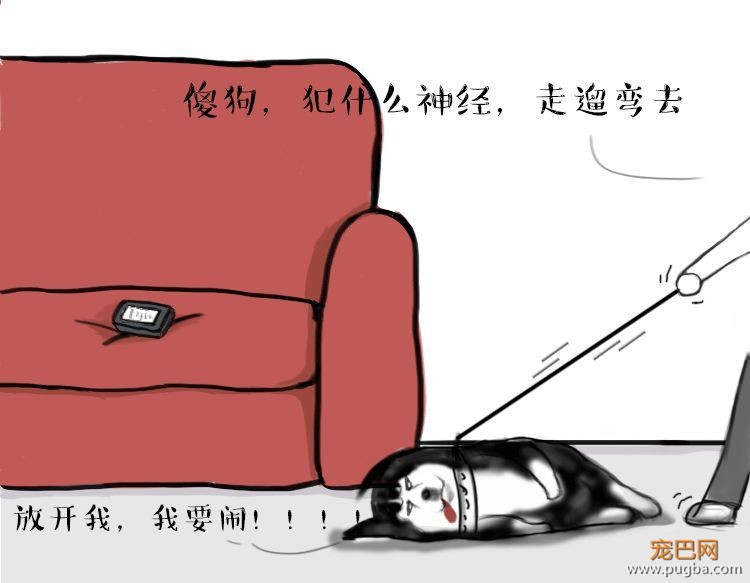 二哈哭诉：我主人......可能根本不爱我？-10.jpeg