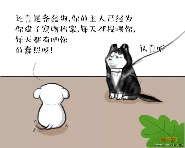 二哈哭诉：我主人......可能根本不爱我？-12.jpeg