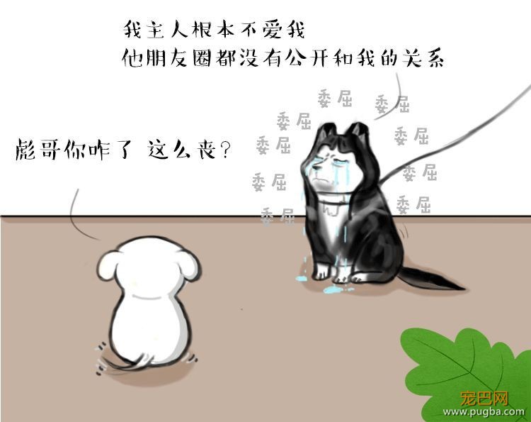 二哈哭诉：我主人......可能根本不爱我？-11.jpeg