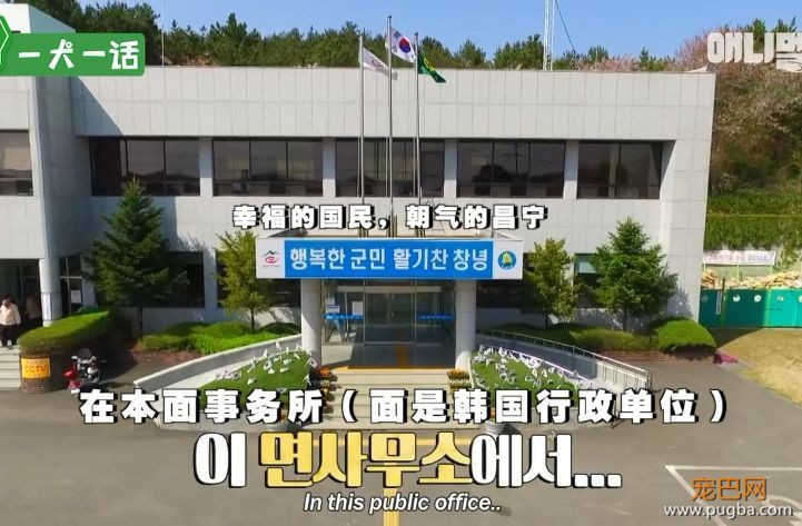 严肃公务员大叔们边上班边撸狗，还有比这更解压的事吗......-1.jpeg
