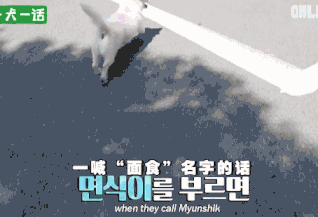 严肃公务员大叔们边上班边撸狗，还有比这更解压的事吗......-2.gif