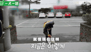 严肃公务员大叔们边上班边撸狗，还有比这更解压的事吗......-3.gif