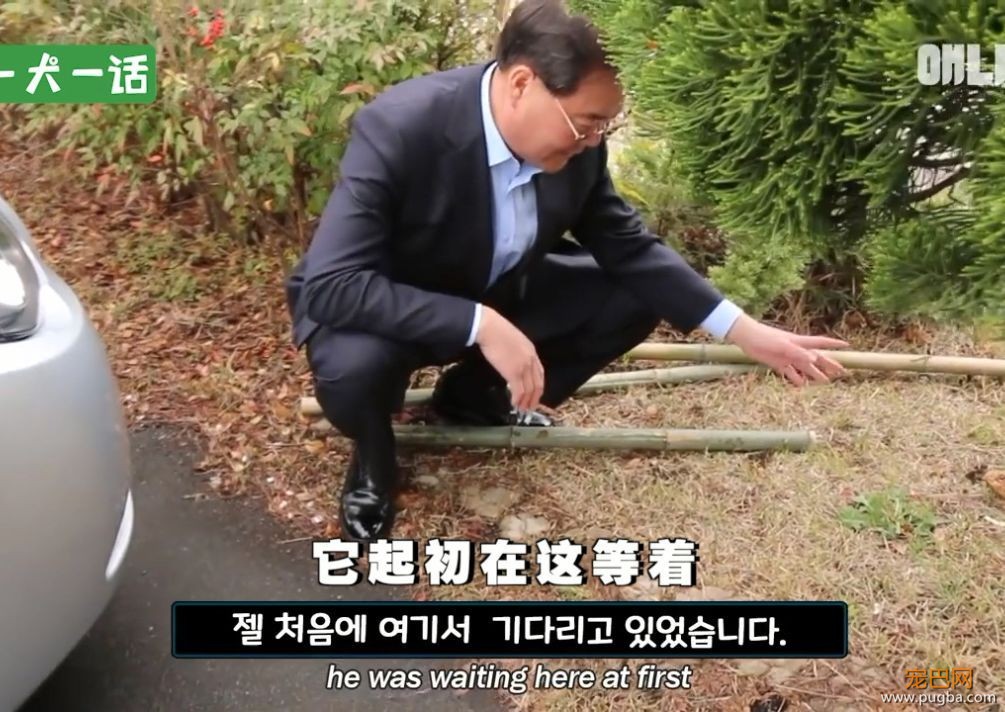 严肃公务员大叔们边上班边撸狗，还有比这更解压的事吗......-7.jpeg