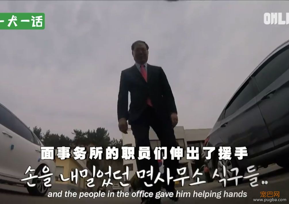 严肃公务员大叔们边上班边撸狗，还有比这更解压的事吗......-9.jpeg