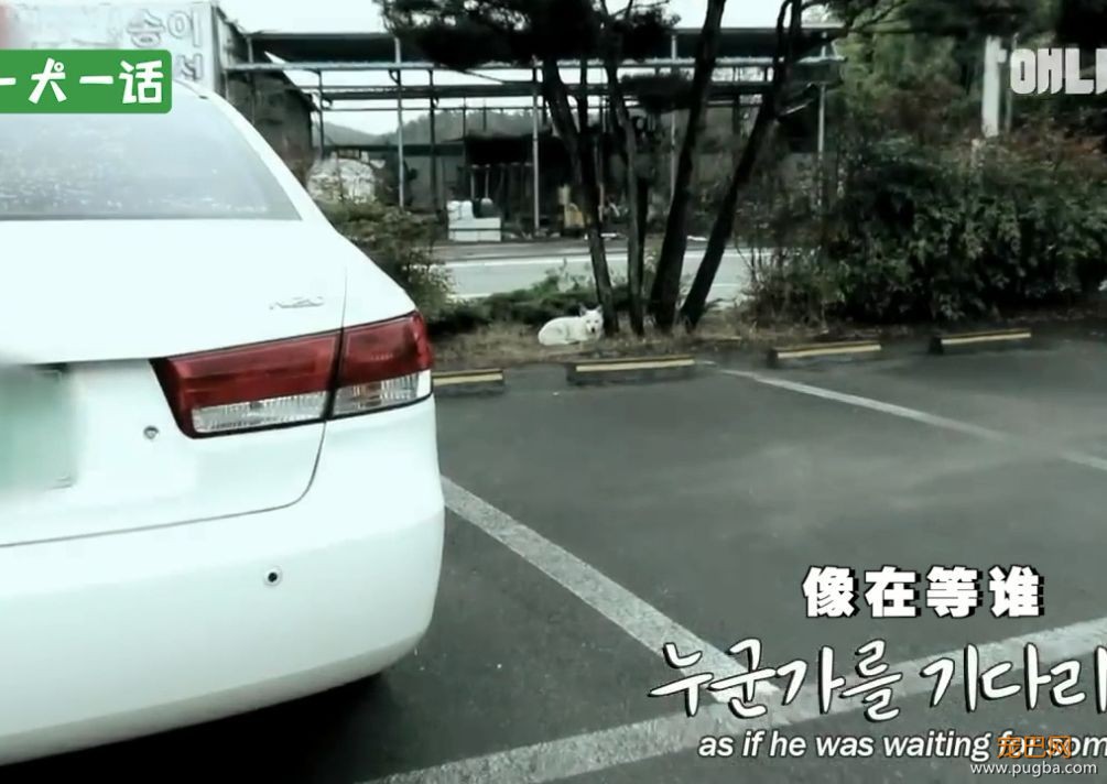 严肃公务员大叔们边上班边撸狗，还有比这更解压的事吗......-8.jpeg