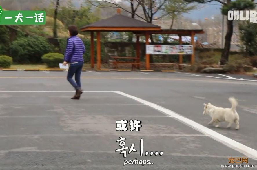 严肃公务员大叔们边上班边撸狗，还有比这更解压的事吗......-12.jpeg