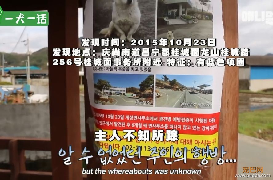 严肃公务员大叔们边上班边撸狗，还有比这更解压的事吗......-14.jpeg