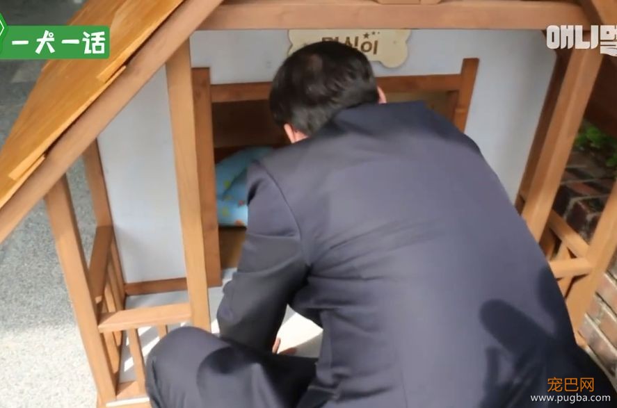 严肃公务员大叔们边上班边撸狗，还有比这更解压的事吗......-17.jpeg