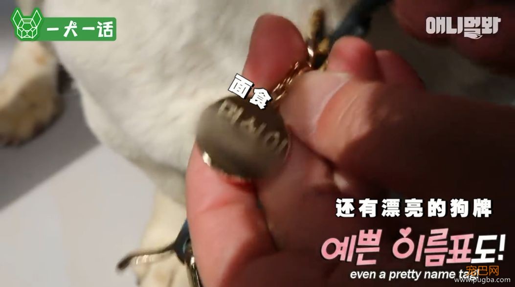 严肃公务员大叔们边上班边撸狗，还有比这更解压的事吗......-18.jpeg