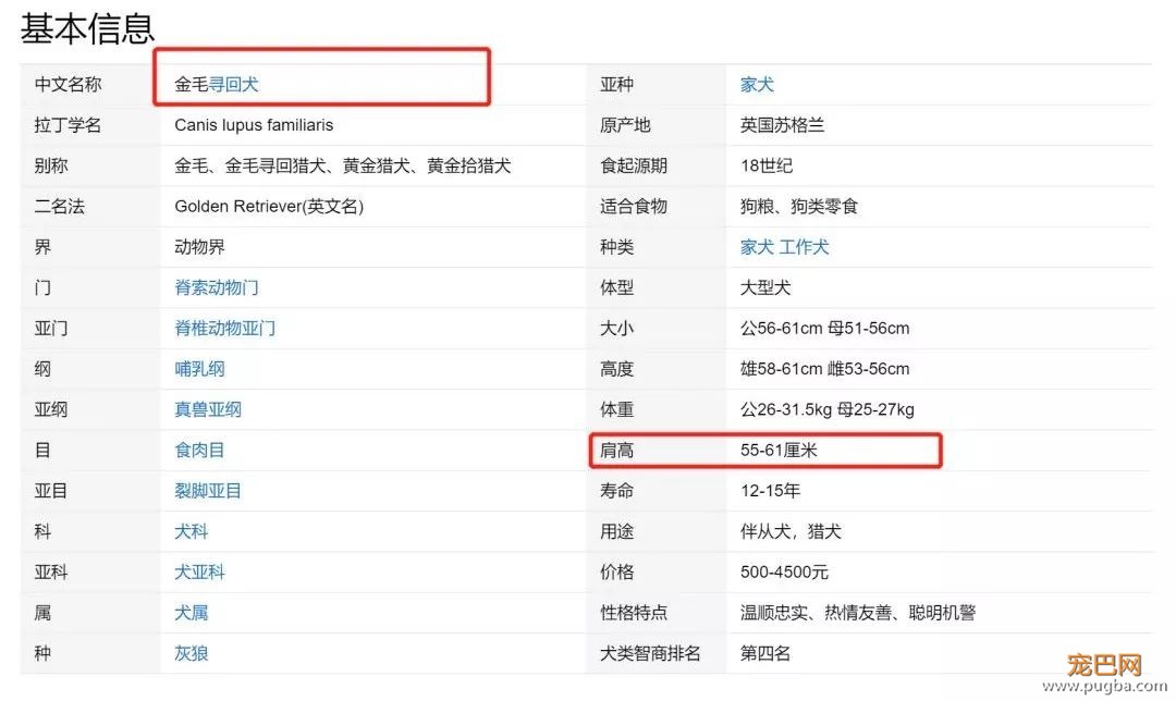 萨摩耶被禁养？金毛和二哈也没能幸免，45厘米的禁养标准你同意吗？-4.jpeg
