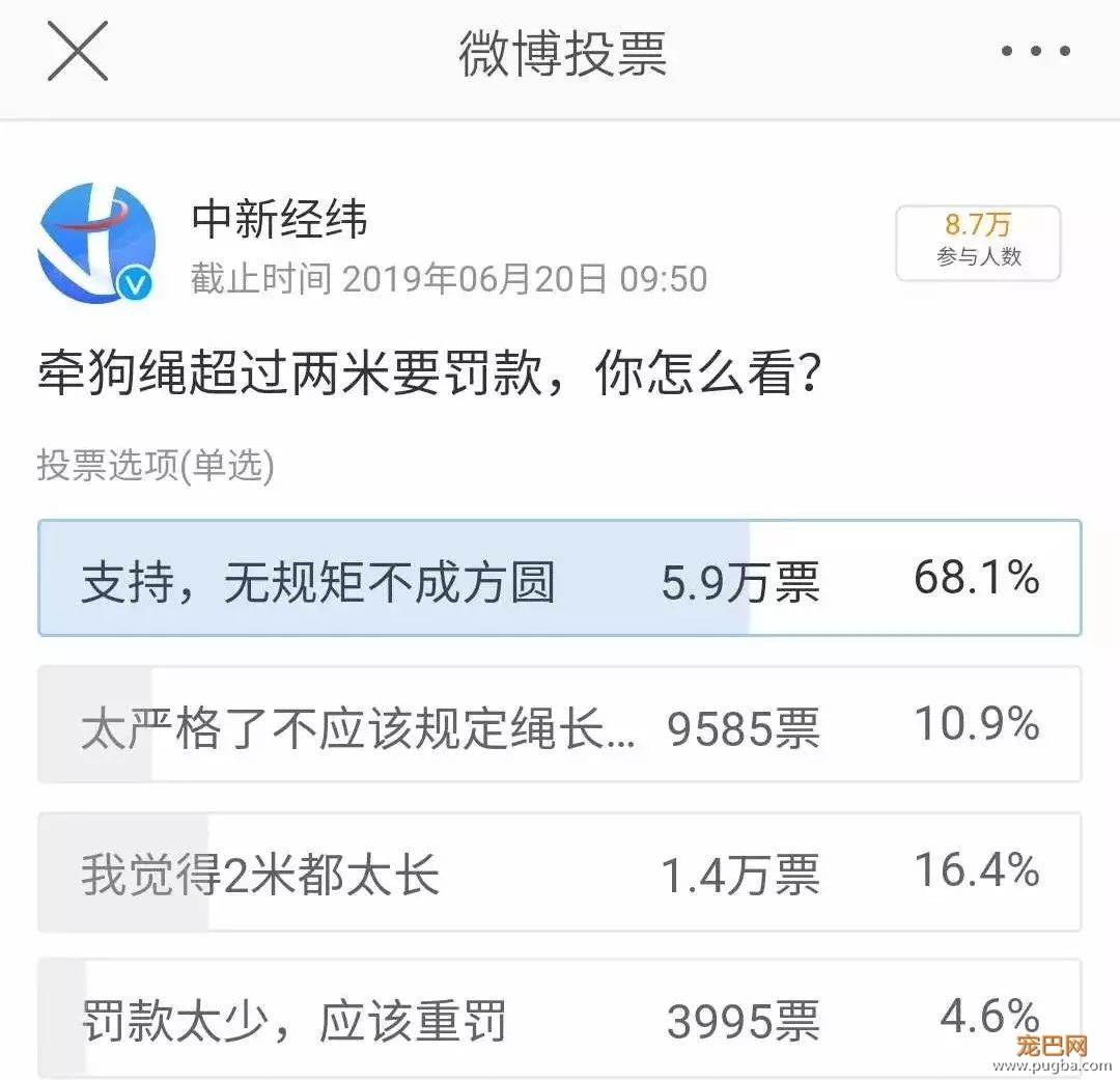 萨摩耶被禁养？金毛和二哈也没能幸免，45厘米的禁养标准你同意吗？-13.jpeg