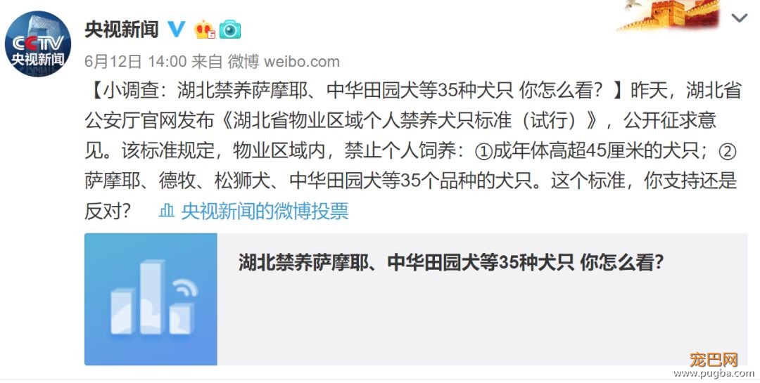 萨摩耶被禁养？金毛和二哈也没能幸免，45厘米的禁养标准你同意吗？-10.jpeg