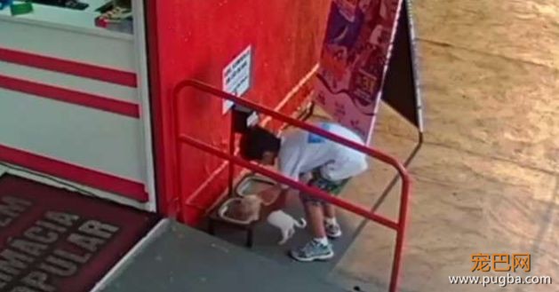 准妈妈怀孕不仅养狗，而且还要它陪产！-10.jpeg
