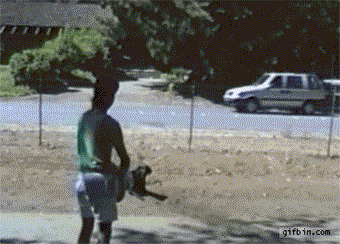 那些被主人调戏的宠物们，智商真是丢家里忘带了-2.gif