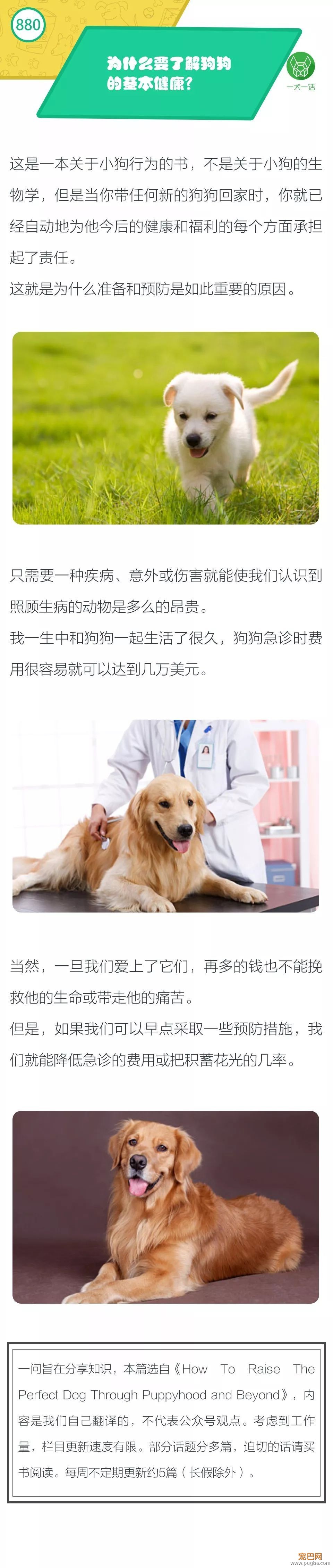为什么要了解狗狗的基本健康？-1.jpeg
