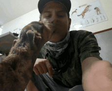 在荒无人烟的孤岛遇到一只瘦弱小狗，他决定把它抱回家去……-9.gif