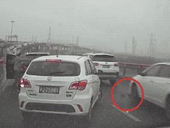 暖！魔都惊现“高架守护者”？！-5.gif