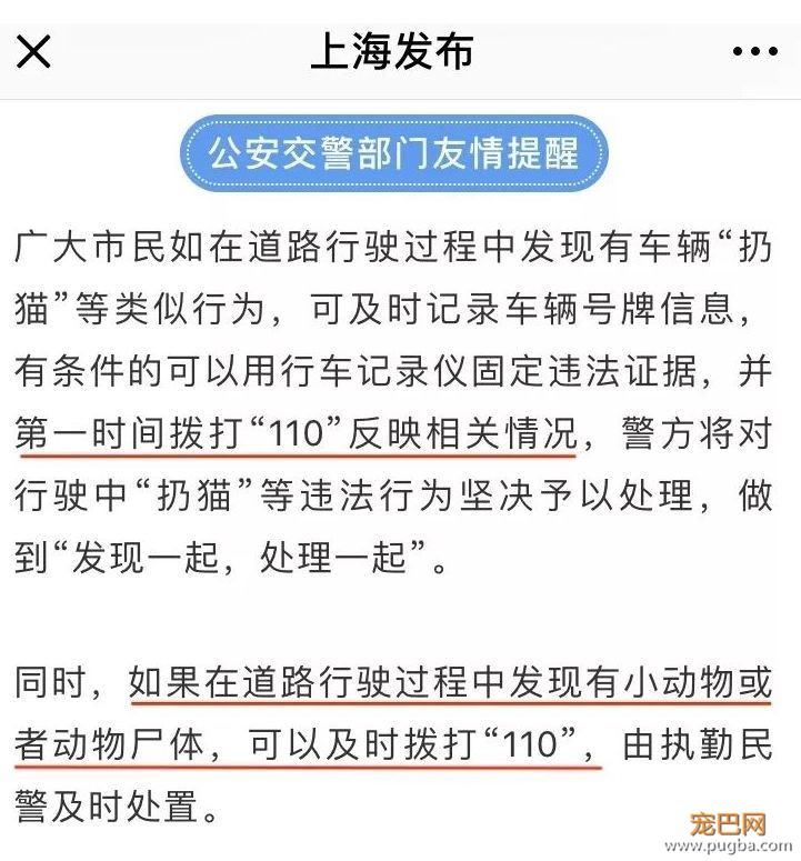 暖！魔都惊现“高架守护者”？！-7.jpeg