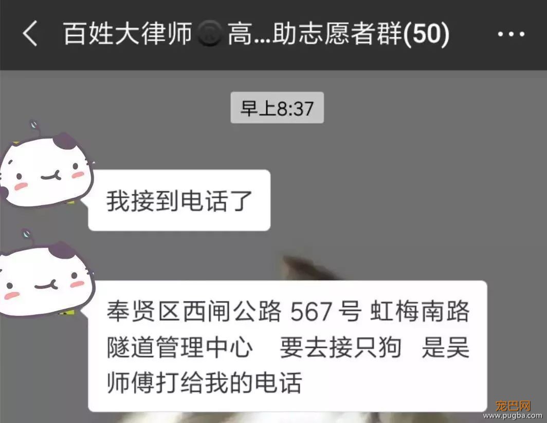 暖！魔都惊现“高架守护者”？！-8.jpeg