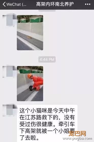 暖！魔都惊现“高架守护者”？！-11.jpeg