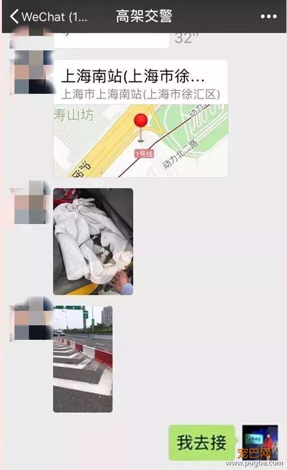 暖！魔都惊现“高架守护者”？！-10.jpeg