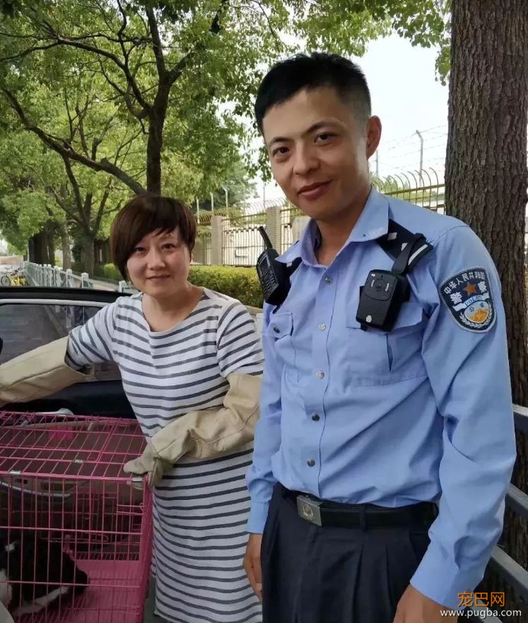 暖！魔都惊现“高架守护者”？！-13.jpeg