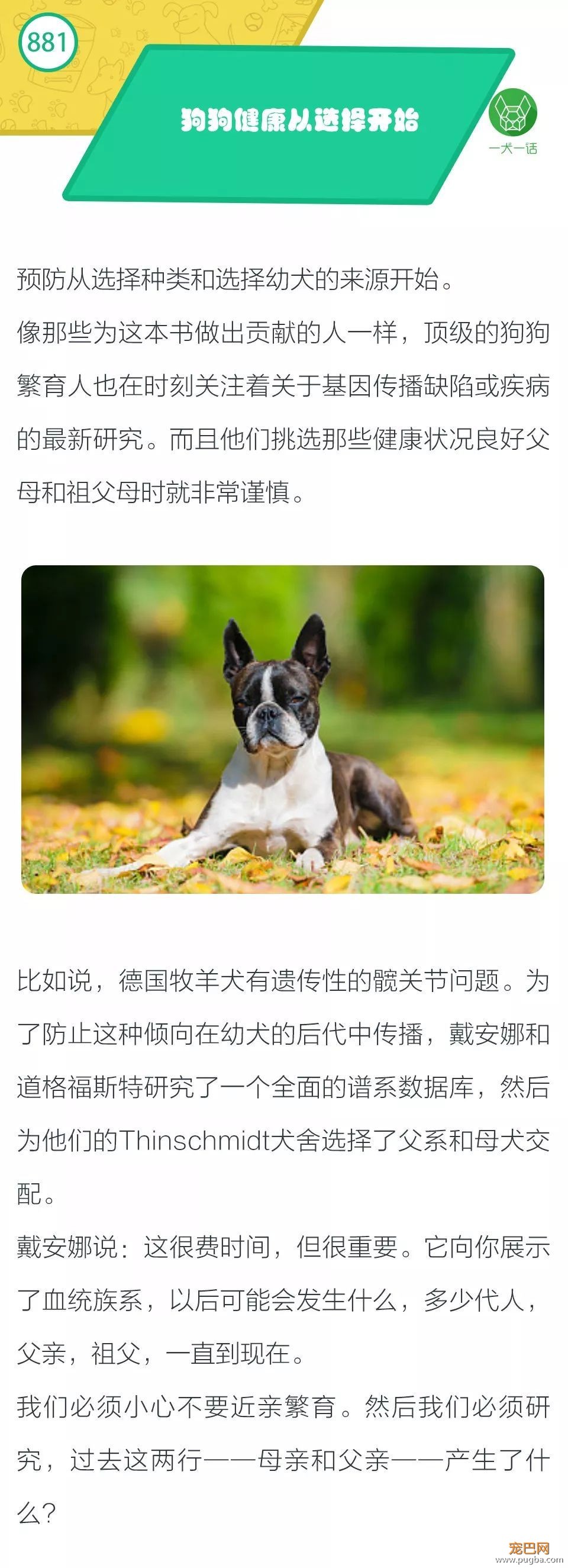 狗狗的健康从你的选择开始？-1.jpeg