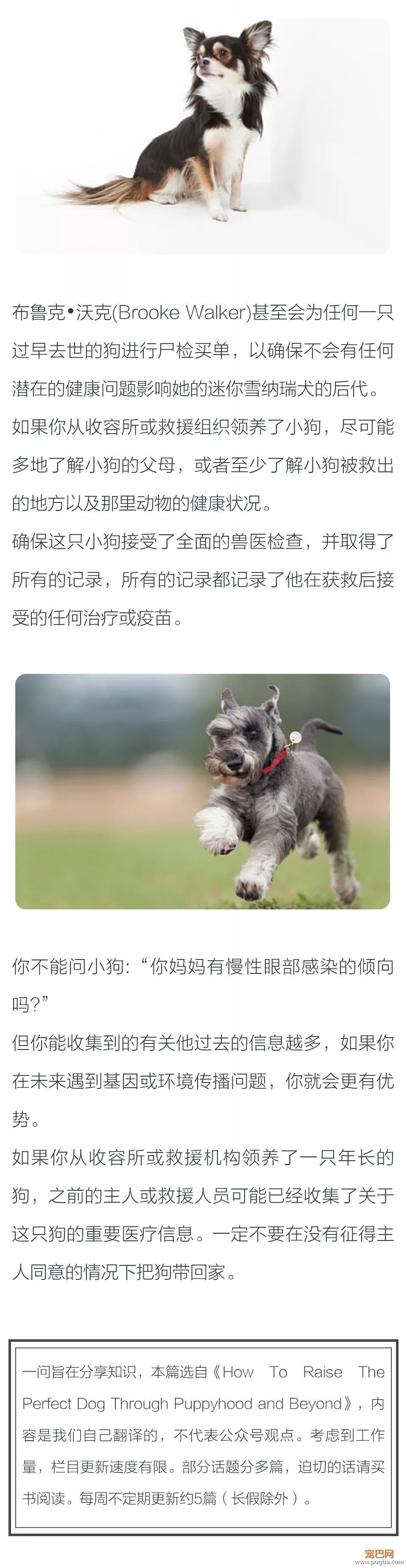 狗狗的健康从你的选择开始？-3.jpeg