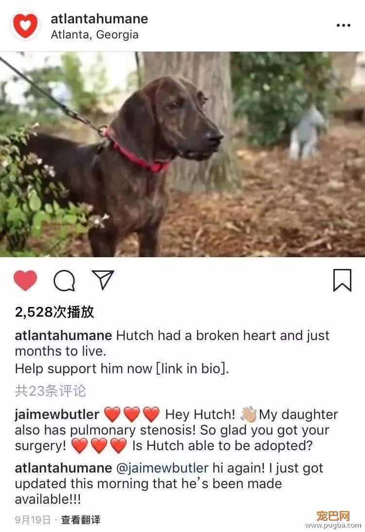 收容犬患病无人收留，却因为一个宝宝改变命运......-6.jpeg