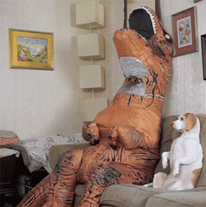 这家铲屎官天天装神弄鬼，狗都看烦了…-6.gif
