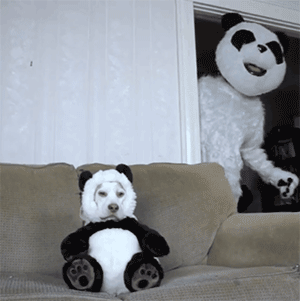 这家铲屎官天天装神弄鬼，狗都看烦了…-12.gif
