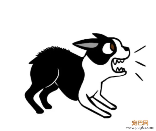狗狗到底为什么会咬人，原因有多复杂-3.jpeg