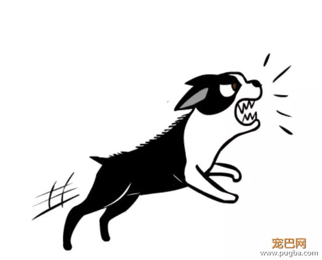 狗狗到底为什么会咬人，原因有多复杂-4.jpeg