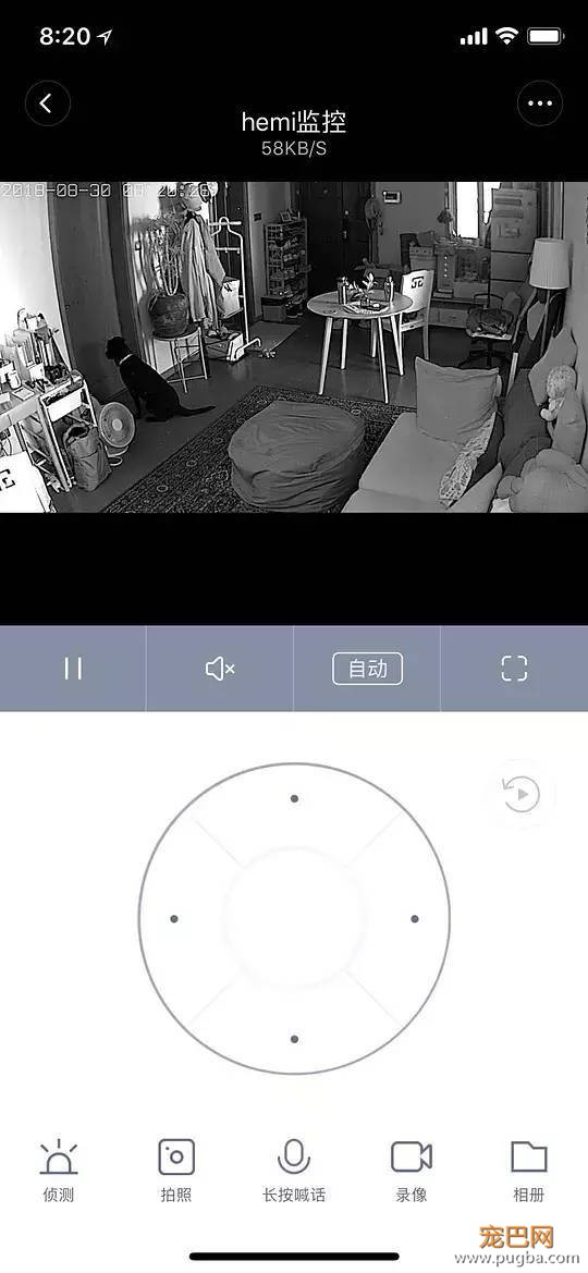 主人不在家的时候，宠物们就像过年了一样？！-31.jpeg