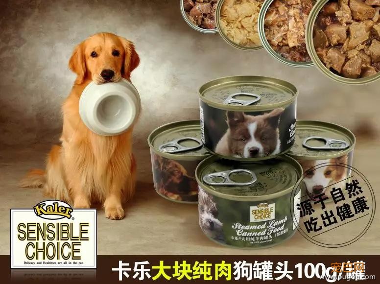 饭点到了还不开饭？狗子怒摔饭碗：我要这破碗有何用！-10.jpg