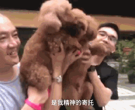 男孩高考结束第一件事就是飞奔抱狗：它们陪我从青春走向成人...-8.gif