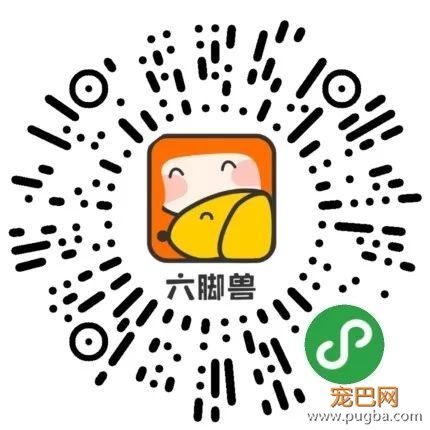减肥是件小事？是时候对狗狗们“动手动脚”了！-5.jpeg